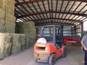 This fork lift does the job of many men by stacking hay bales vertically and horizontally.  It is an amazing thing to watch.